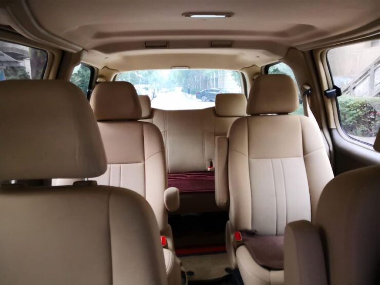 Chengdu Panda Base & Giant Buddha Private Full Day Tour - Activity Information