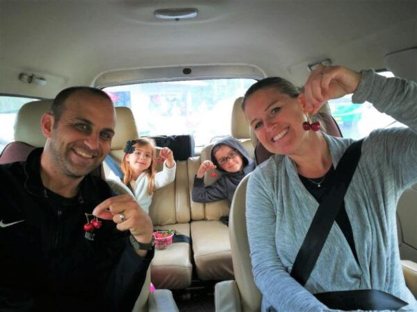 Chengdu Panda Base & Giant Buddha Private Full Day Tour - The Sum Up