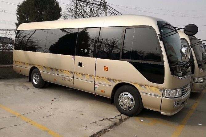 Chengdu Panda Base Half Day Car Use - The Sum Up: Is It Worth It?