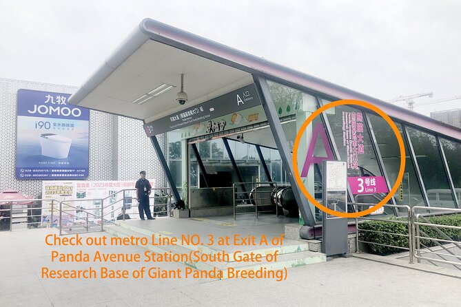 Chengdu Panda Base Half Day Tour - Tour Highlights