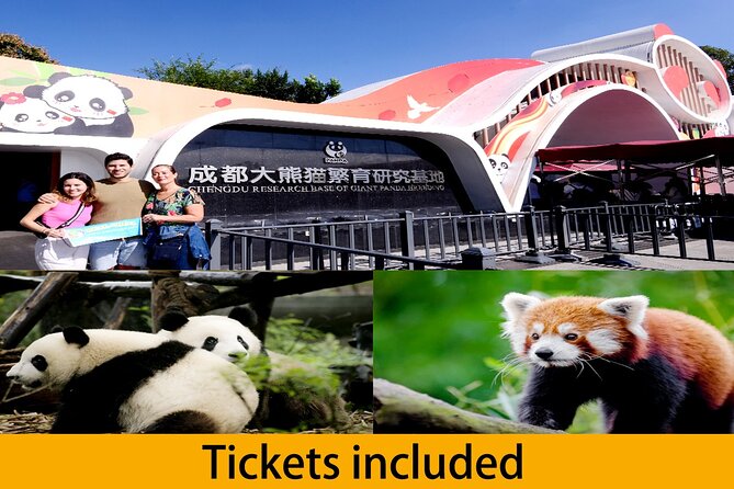 Chengdu Panda Base Half Day Tour - Itinerary Overview