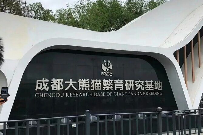 Chengdu Panda Base Half-Day Tour Optional Sichuan Opera Face - Exploring the Itinerary: What You Can Expect