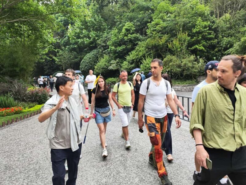 Chengdu: Panda Base Half-day Tour or Panda & Buddha Day Tour - Good To Know