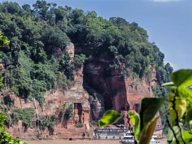 Chengdu: Panda Base Half-day Tour or Panda & Buddha Day Tour - Who Will Love This Tour?