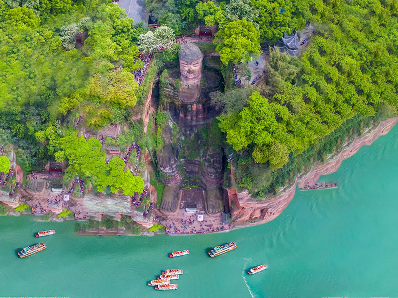 Chengdu Panda Base & Leshan Giant Buddha Day Tour - Is $82.35 good value?