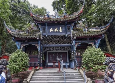 Chengdu Panda Base + Sanxingdui Museum/Dujiangyan/Leshan Giant Buddha/Mount Qingcheng One-Day Tour - Is $88.30 good value?