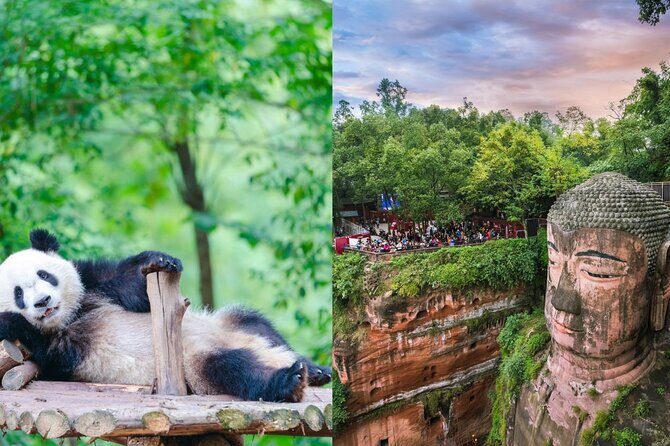 Chengdu Panda Base Ticket/Experiences from Chunxi Road - Good To Know