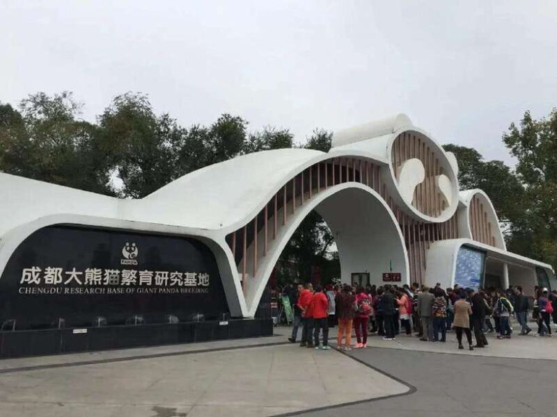 Chengdu: Panda Base Tour/Ticket Only Option - Practical Tips for Your Visit