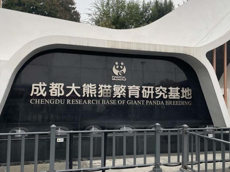 Chengdu: Panda Breeding Base Private Guided Tour - Good To Know