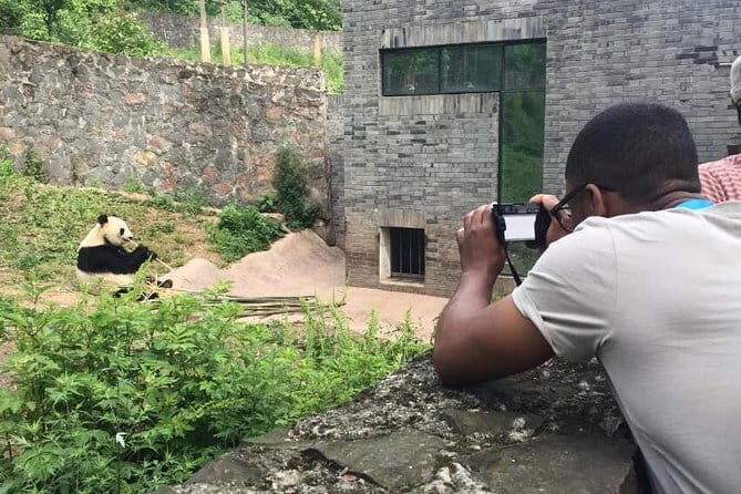 Chengdu Panda Breeding Base Ticket w/ Optional Transfer or Guide - FAQ