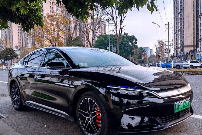 Chengdu Panda & Leshan Giant Buddha Premium Private Day Tour - Introduction