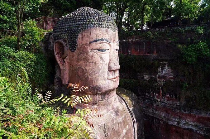 Chengdu Panda Park Bus Tour with Option Leshan Giant Buddha - Who Is This Tour Best For?