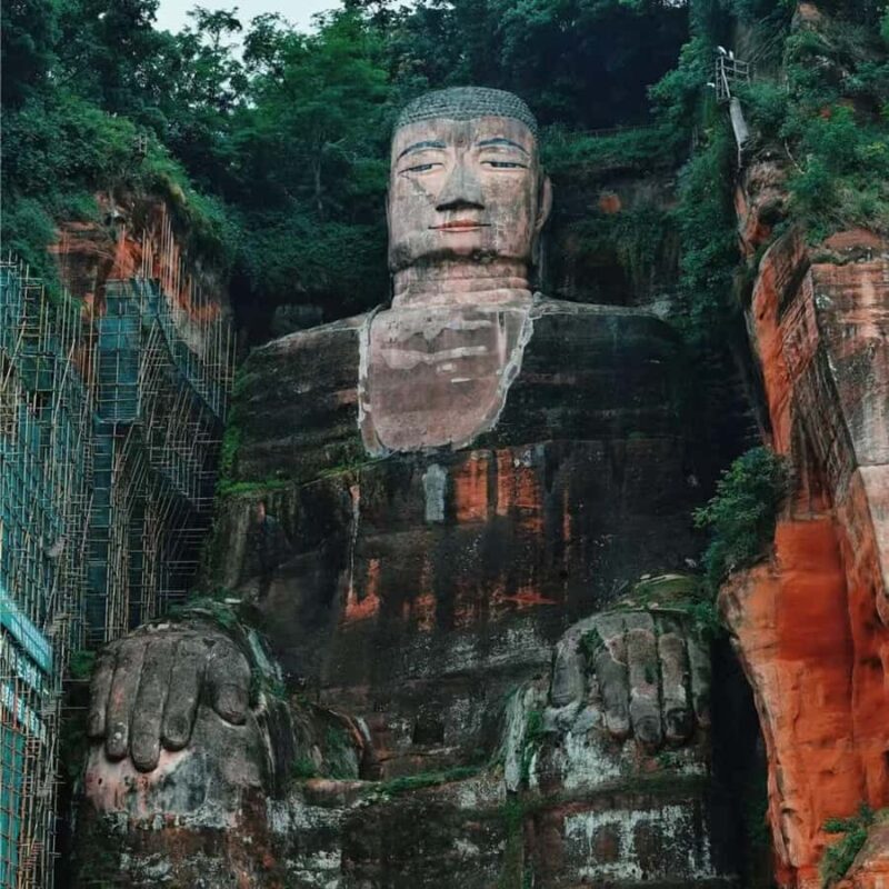Chengdu: Panda Park & Optional Leshan Giant Buddha Tour - What Makes This Tour Standout?