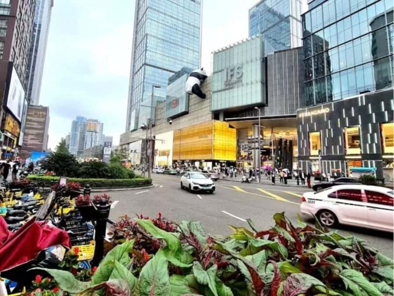 Chengdu: Panda Park & Optional Leshan Giant Buddha Tour - The Real Value for Travelers