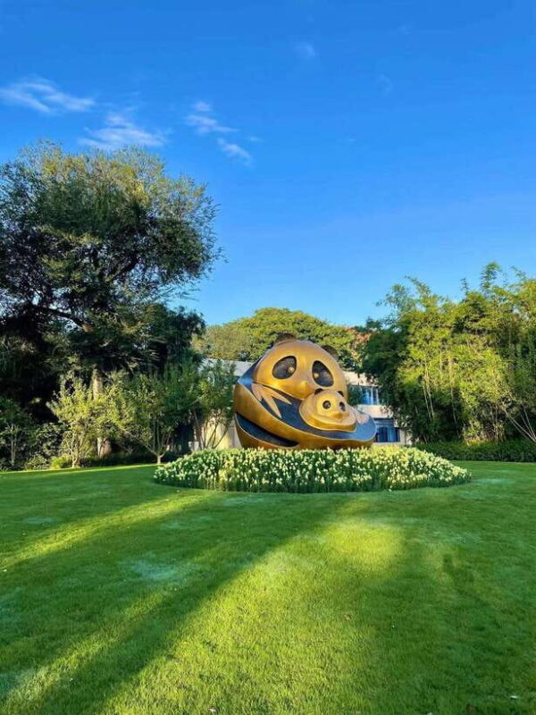 Chengdu: Panda Research Base Ticket or Private Transfer Tour - Introduction: What’s the Experience Like?