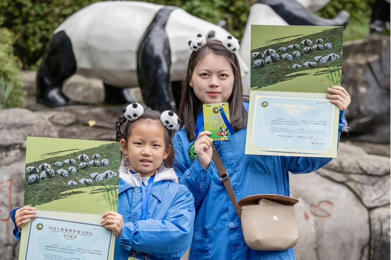 Chengdu Panda Volunteer 1-Day Charity Experience in Dujiangyan/Wolong Panda Base - Key things to know before you book
