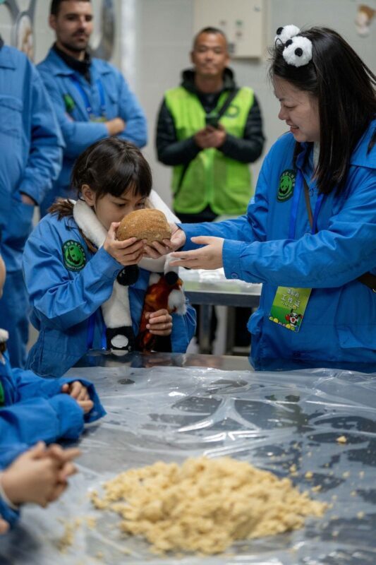 Chengdu Panda Volunteer 1-Day Charity Experience in Dujiangyan/Wolong Panda Base - What the volunteer day is really about
