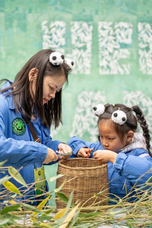 Chengdu Panda Volunteer 1-Day Charity Experience in Dujiangyan/Wolong Panda Base - Red Panda Forest Park is a different kind of encounter