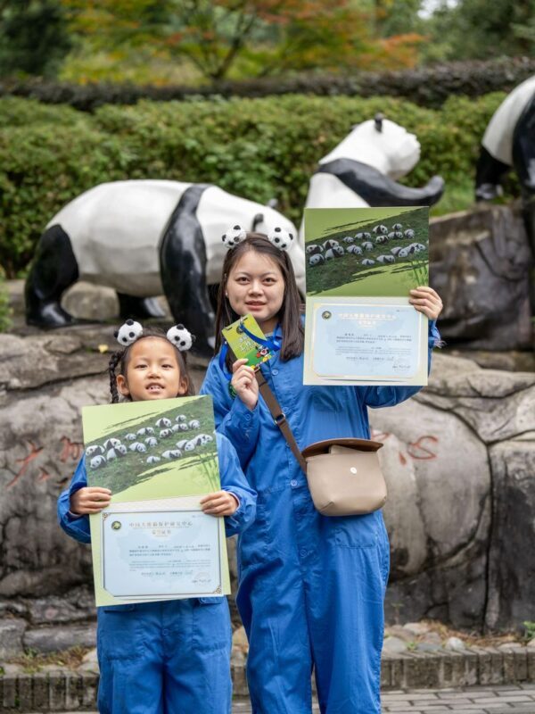 Chengdu Panda Volunteer 1-Day Charity Experience in Dujiangyan/Wolong Panda Base - Transfers and timing can make or break the day