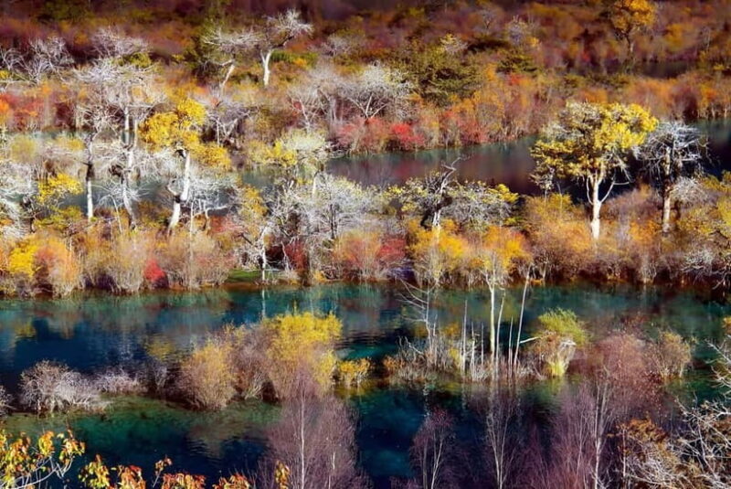 Chengdu: private 2-Day Huanglong Jiuzhaigou tour by train - Authentic Reviews and Insights