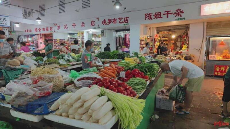 Chengdu: Private Panda Base and Sichuan Cuisine Tour - An In-Depth Look at the Experience