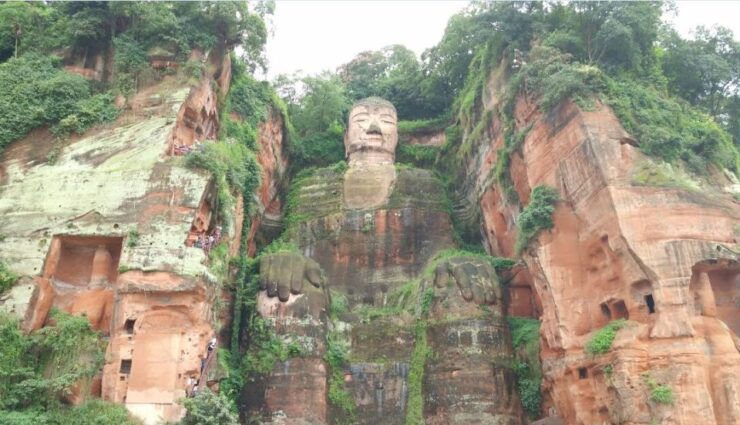 Chengdu Private Tour of Leshan Buddha and Panda Base - Customer Reviews