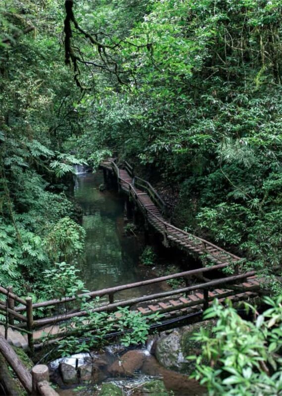 Chengdu: Qingcheng Mountain, Dujiangyan & Sichuan opera Tour - Who Should Consider This Tour?