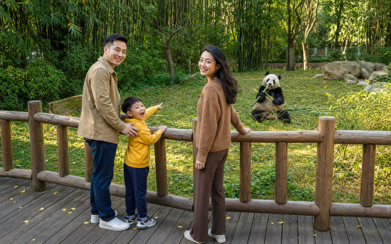 Chengdu Research Base of Giant Panda Breeding & Sanxingdui Museum Full-Day Cultural Heritage Tour - The value of having the two stops connected