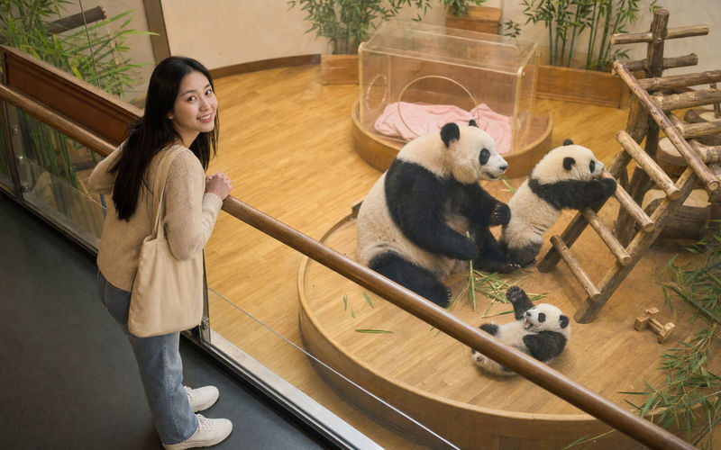 Chengdu Research Base of Giant Panda Breeding & Sanxingdui Museum Full-Day Cultural Heritage Tour - What you are paying for, and what to check