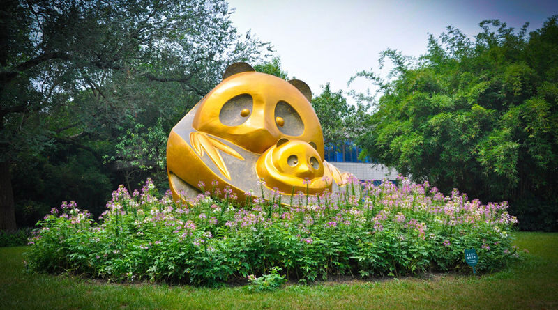 Chengdu Research Base of Giant Panda Breeding Ticket - Choose a guide if you want the story behind the animals