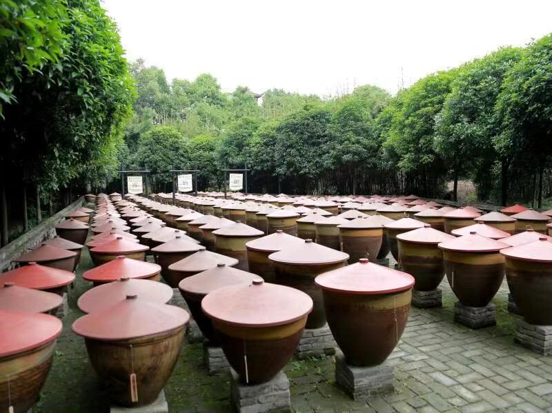 Chengdu Sichuan Cuisine Museum Experience - Walk the old restaurant street