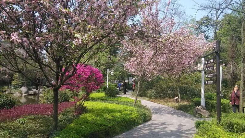 Chengdu: Sichuan Cuisine-Themed Museum Cooking Experience - The Sum Up