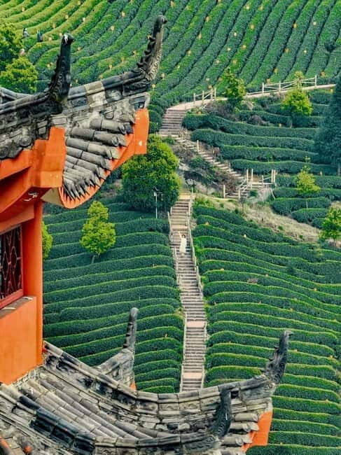 Chengdu: Tea-Picking in the Birthplace of Tea Culture - Exploring the Ecological and Cultural Wonders of Sichuan