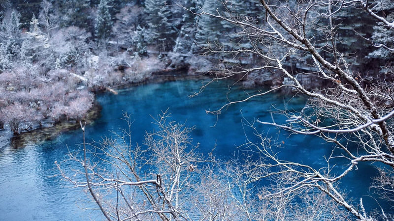 Chengdu to Jiuzhaigou High-Speed Rail Round 1 day trip - Making the most of your park hours