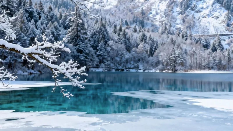 Chengdu to Jiuzhaigou High-Speed Rail Round 1 day trip - Who should take this day trip