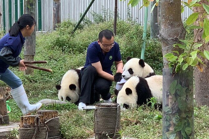 Chengdu: Volunteer Day Experience at Dujiangyan Panda base - Good To Know: