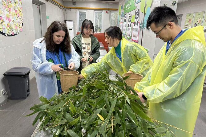 Chengdu: Volunteer Day Experience at Dujiangyan Panda base - The Itinerary: What to Expect from Start to Finish