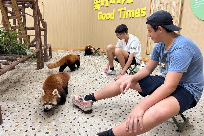 Chengdu: Volunteer Day Experience at Dujiangyan Panda base - Who Is This Tour Best For?