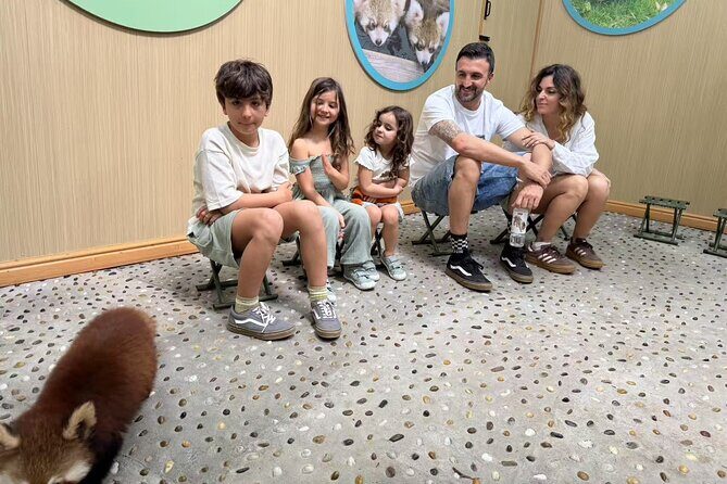 Chengdu: Volunteer Day Experience at Dujiangyan Panda base - Final Thoughts