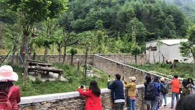 Chengdu Wolong Panda Base Full-Day Tour with Private Car - Is $111.30 good value?