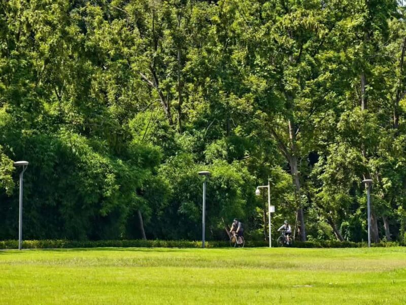 Chengdu: Wonder Ride Cycling Greenway - An In-Depth Look at the Wonder Ride Cycling Greenway