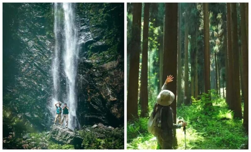 Chengdu: Zhongba Forest Private Hiking Tour with Guide - What You Can Expect from the Tour