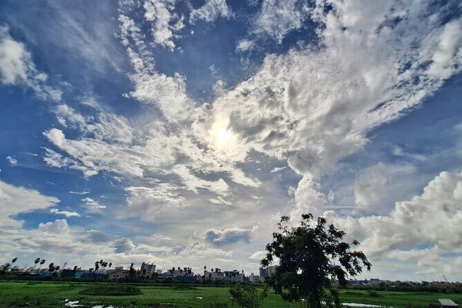 Chennai, Birding with Spotting Scope & Photography 2-3 hours - A Closer Look at the Chennai Birding Experience