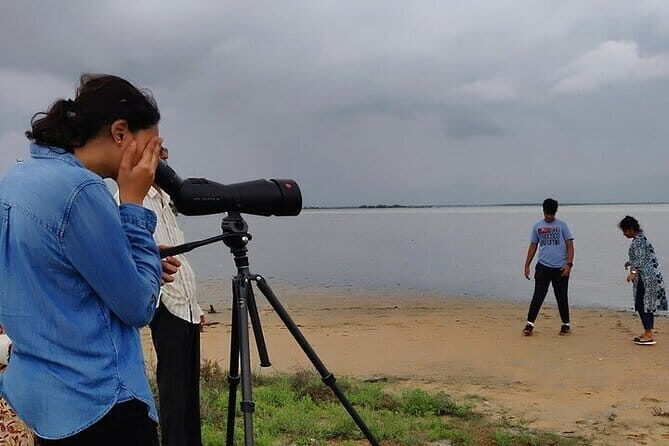 Chennai, Birding with Spotting Scope & Photography 2-3 hours - What to Expect from the Chennai Birding Tour