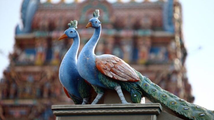 Chennai: St. George Fort, Kapaleeshwarar Temple & Marina - Tour Details