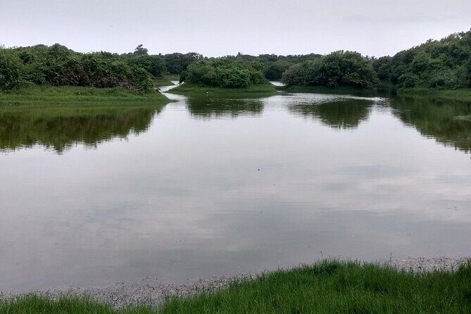 Chennai Tour to Sacred Hills and Eco Trails - Who Will Love This Tour?