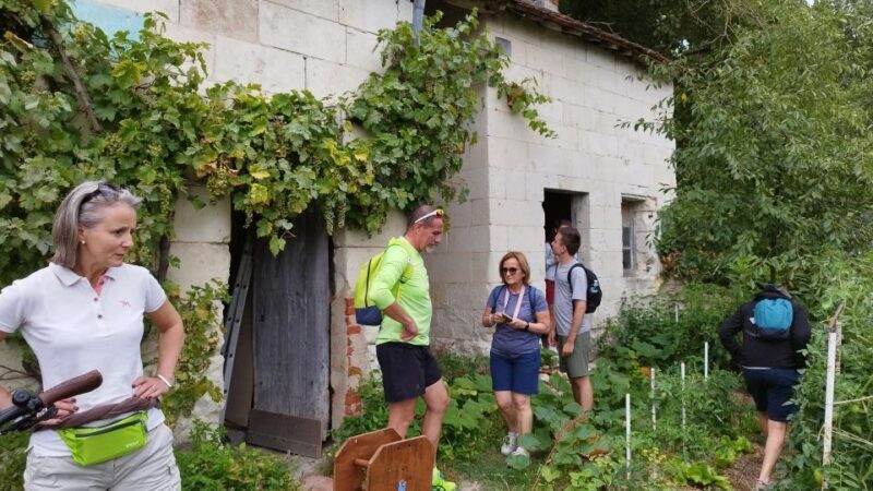 Chenonceau: guided ebike ride and wine & cheese picnic lunch - Practical Details: What to Expect