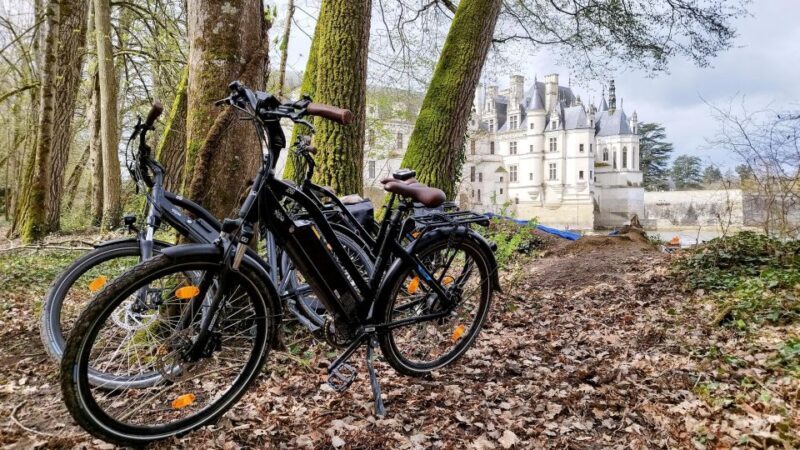Chenonceau: guided ebike ride and wine & cheese picnic lunch - The Experience as Reported by Past Travelers