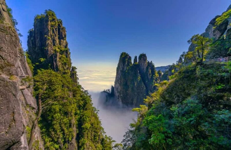 ChenZhou: Mangshan National Forest Park Day Trip - Exploring the Trails and Natural Wonders