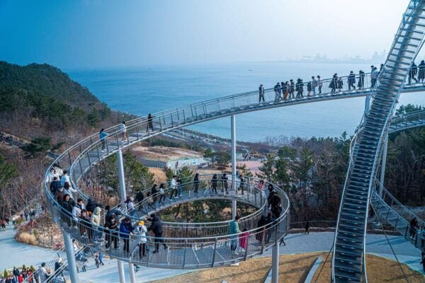 Cheongsong Ice Valley & Pohang Spacewalk Tour From Busan - Language and Accessibility Options